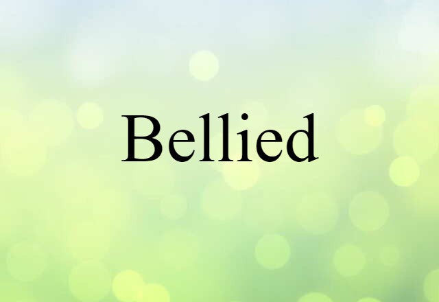 Bellied (noun) Definition, Meaning & Examples