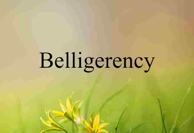 Belligerency (noun) Definition, Meaning & Examples