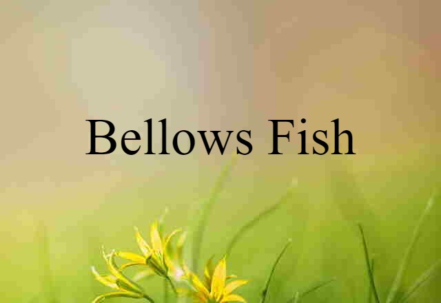 Bellows Fish (noun) Definition, Meaning & Examples