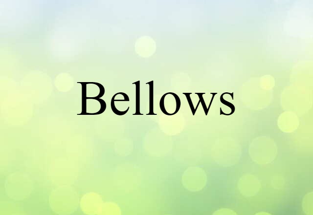 Bellows (noun) Definition, Meaning & Examples