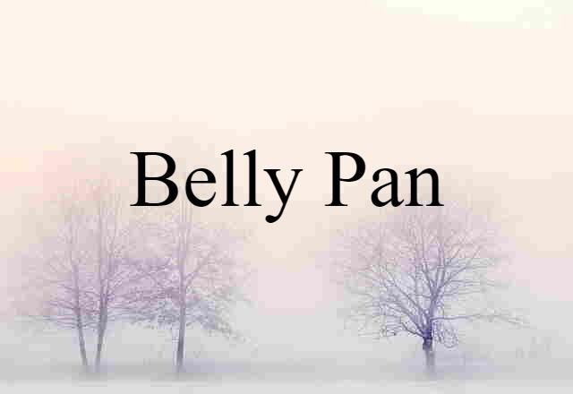 Belly Pan (noun) Definition, Meaning & Examples