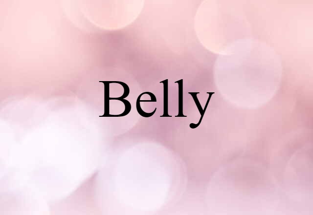 Belly (noun) Definition, Meaning & Examples