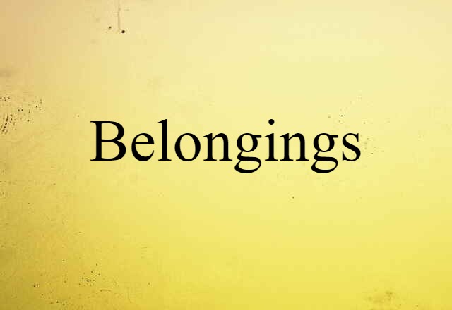 Belongings (noun) Definition, Meaning & Examples