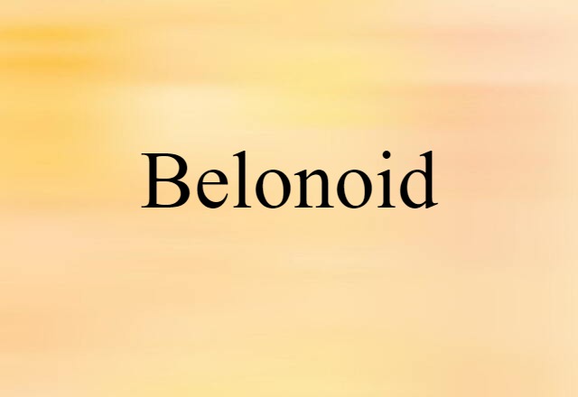 Belonoid (noun) Definition, Meaning & Examples