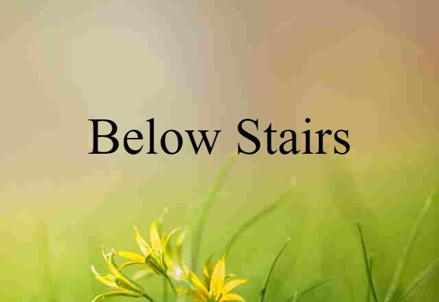 Below Stairs (noun) Definition, Meaning & Examples