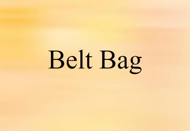 Belt Bag (noun) Definition, Meaning & Examples