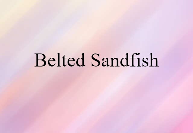 belted sandfish