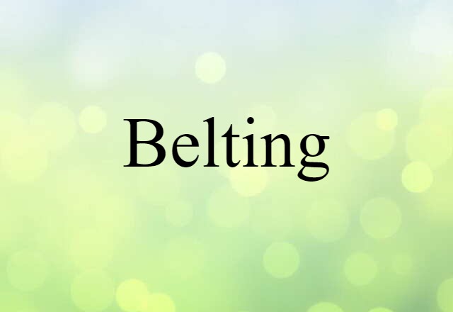 Belting (noun) Definition, Meaning & Examples