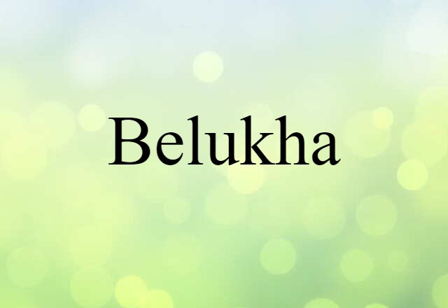 Belukha (noun) Definition, Meaning & Examples