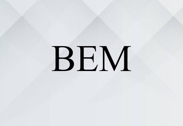 BEM (noun) Definition, Meaning & Examples