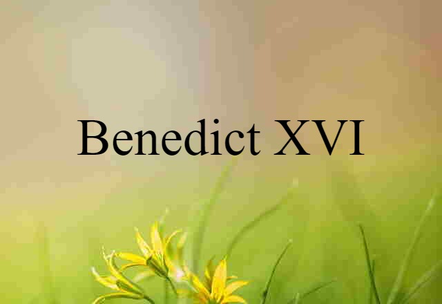 Benedict XVI (noun) Definition, Meaning & Examples