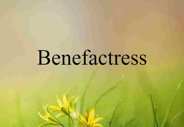 Benefactress (noun) Definition, Meaning & Examples