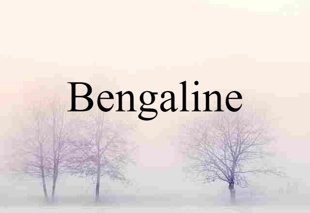 Bengaline (noun) Definition, Meaning & Examples