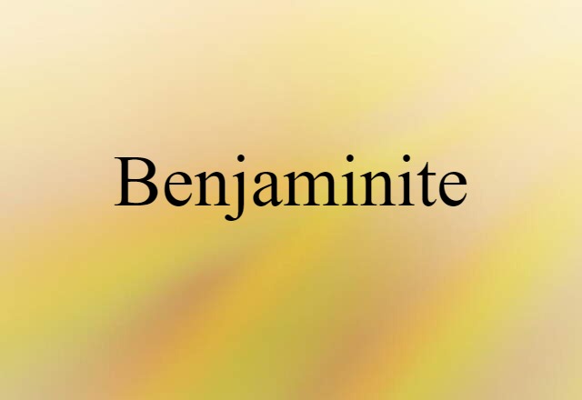 Benjaminite (noun) Definition, Meaning & Examples