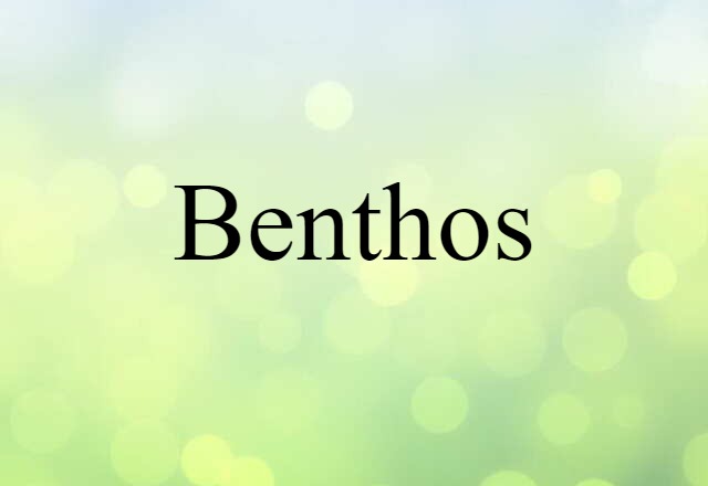 Benthos (noun) Definition, Meaning & Examples