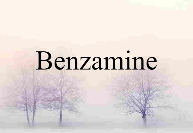 Benzamine (noun) Definition, Meaning & Examples