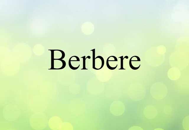 Berbere (noun) Definition, Meaning & Examples