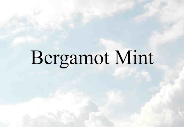 bergamot mint