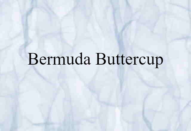 Bermuda buttercup