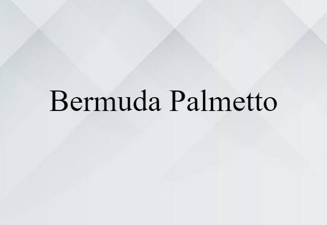 Bermuda palmetto