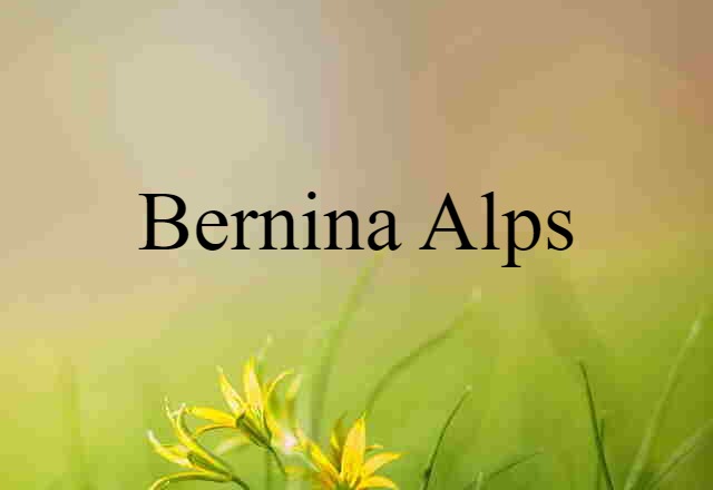 Bernina Alps (noun) Definition, Meaning & Examples