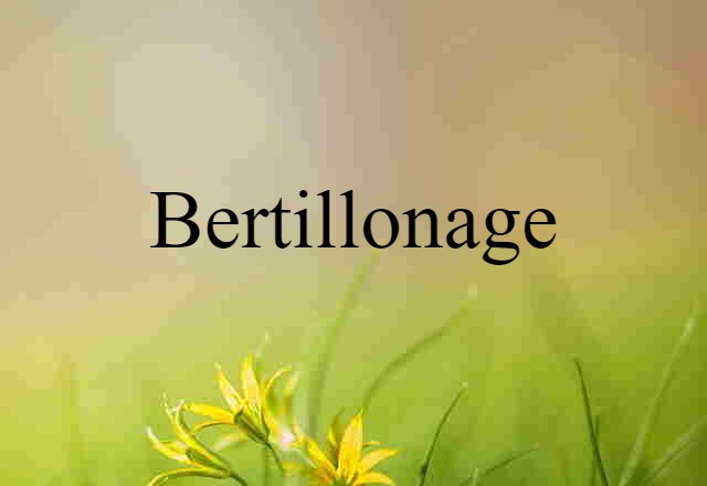 Bertillonage