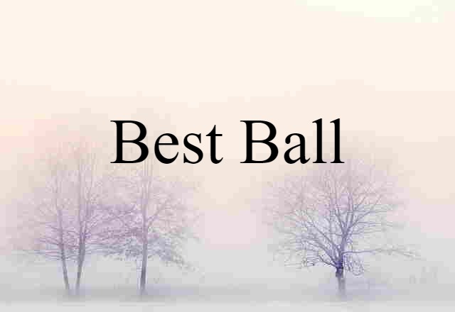 Best-ball (noun) Definition, Meaning & Examples