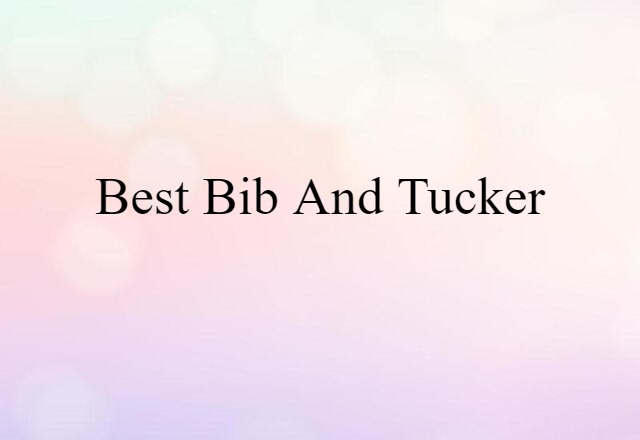 Best Bib And Tucker (noun) Definition, Meaning & Examples