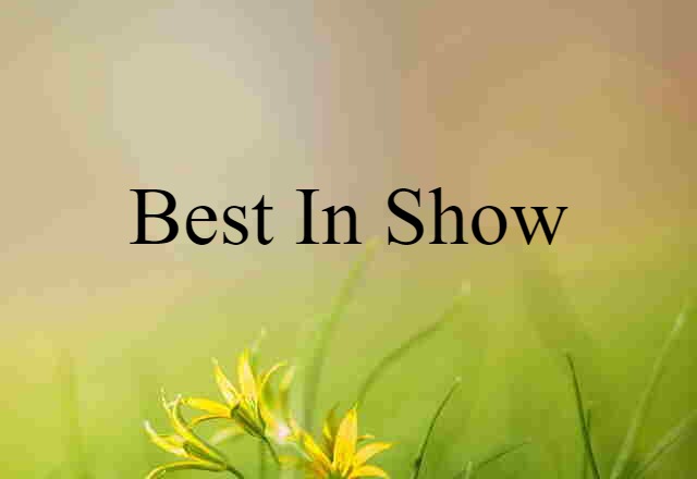 Best In Show (noun) Definition, Meaning & Examples