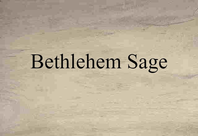 Bethlehem Sage (noun) Definition, Meaning & Examples