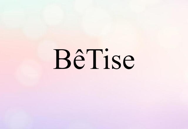 Bêtise (noun) Definition, Meaning & Examples