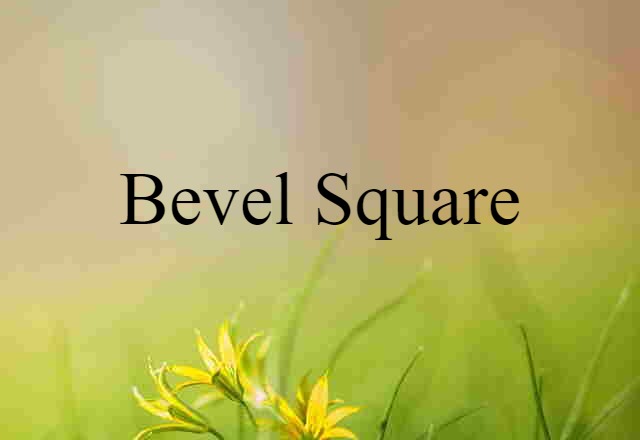 Bevel Square (noun) Definition, Meaning & Examples