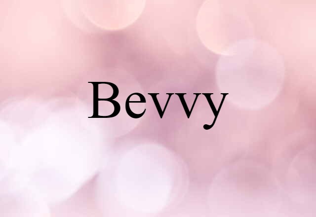 Bevvy (noun) Definition, Meaning & Examples