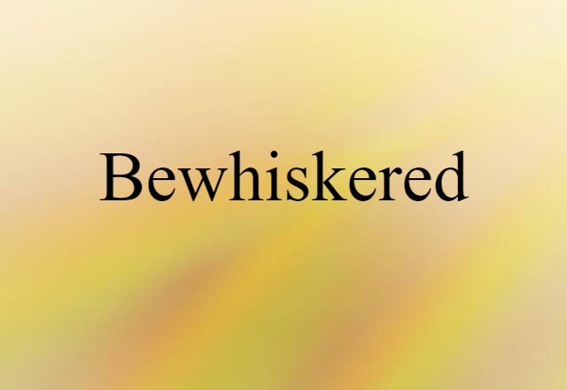 Bewhiskered (noun) Definition, Meaning & Examples