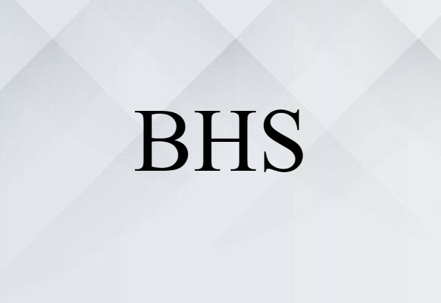 BHS (noun) Definition, Meaning & Examples