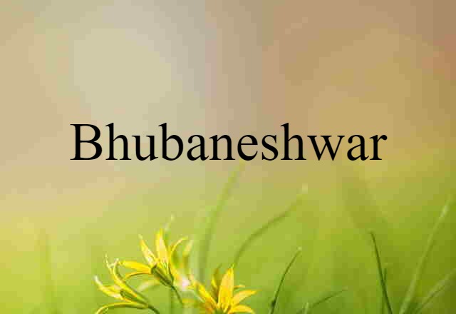 Bhubaneshwar (noun) Definition, Meaning & Examples