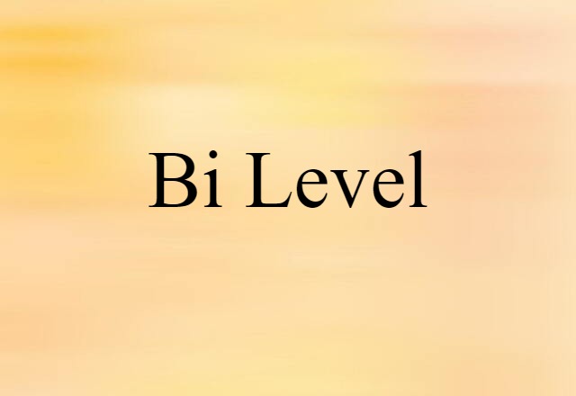 Bi-level (noun) Definition, Meaning & Examples