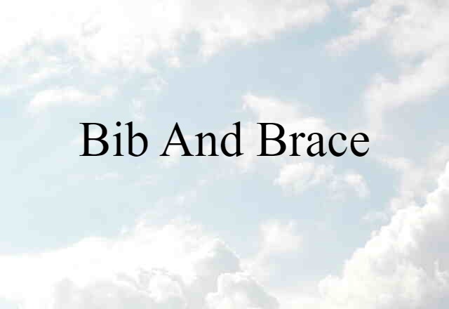 Bib And Brace (noun) Definition, Meaning & Examples