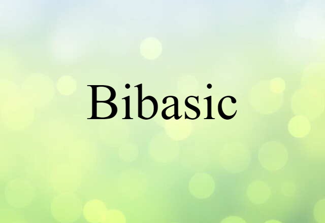 Bibasic (noun) Definition, Meaning & Examples