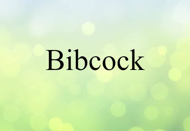 bibcock