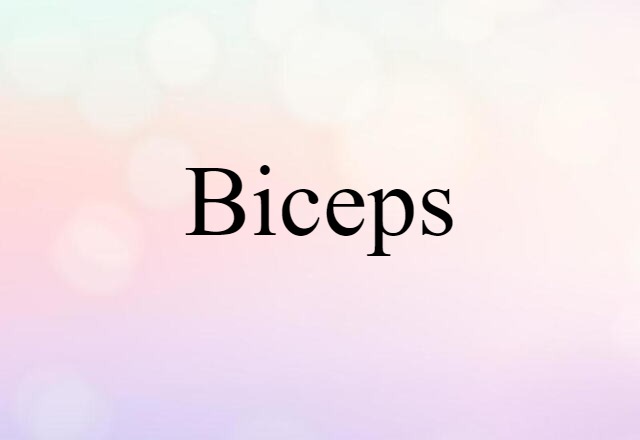 Biceps (noun) Definition, Meaning & Examples