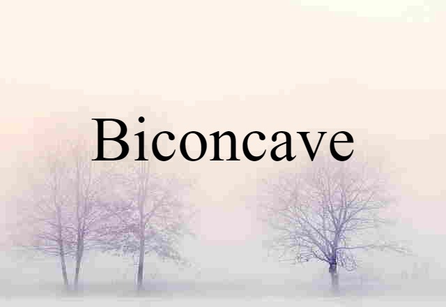 Biconcave (noun) Definition, Meaning & Examples