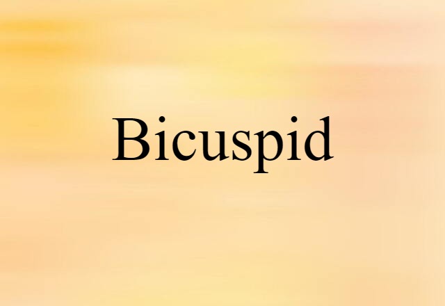 Bicuspid (noun) Definition, Meaning & Examples