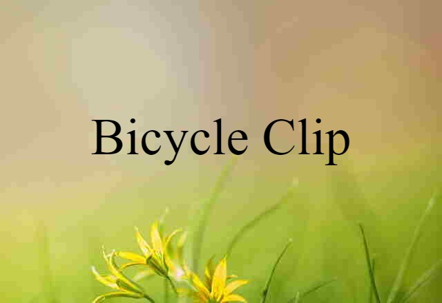 Bicycle Clip (noun) Definition, Meaning & Examples