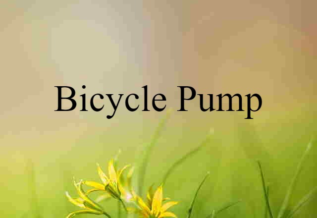 bicycle pump