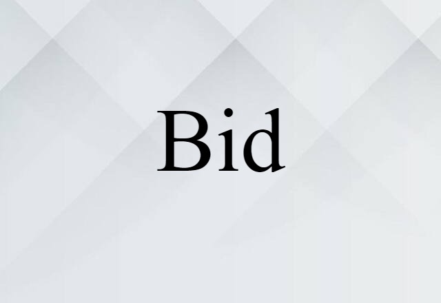 Bid (noun) Definition, Meaning & Examples