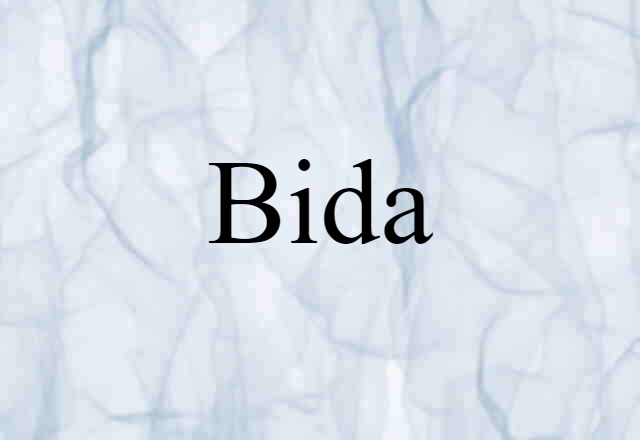 Bida (noun) Definition, Meaning & Examples