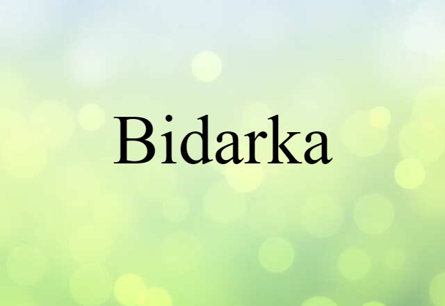 Bidarka (noun) Definition, Meaning & Examples