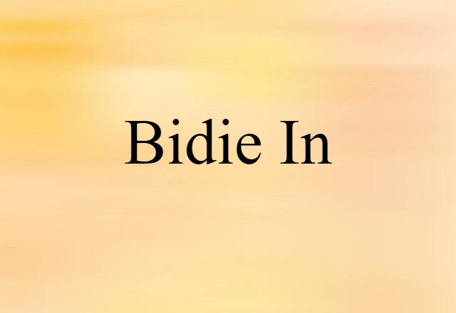 Bidie-in (noun) Definition, Meaning & Examples