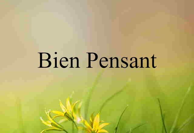 Bien Pensant (noun) Definition, Meaning & Examples